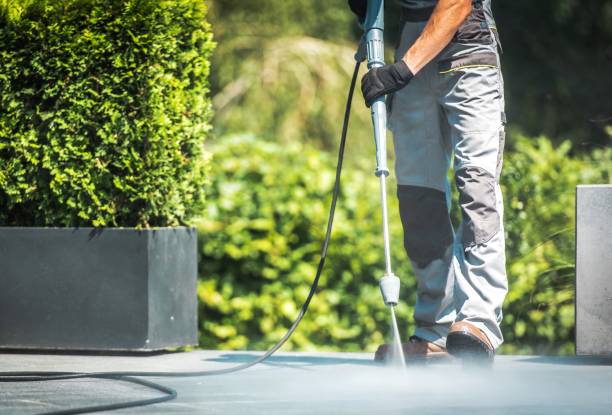Best Gas Station Cleaning  in Okawvle, IL