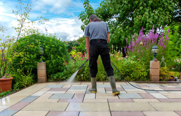 Best Patio and Deck Pressure Washing  in Okawvle, IL