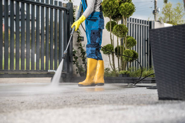 Best Boat and Dock Cleaning  in Okawvle, IL